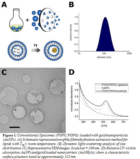 Conventional Lipsomes