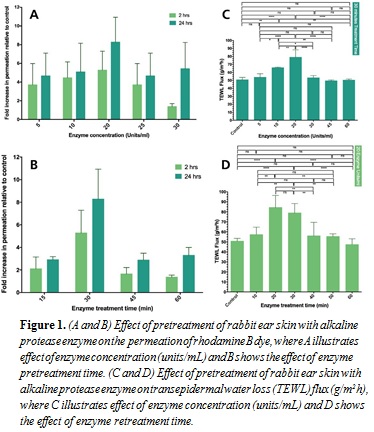 (A and B) Effect of pretreatment of rabbit ear skin