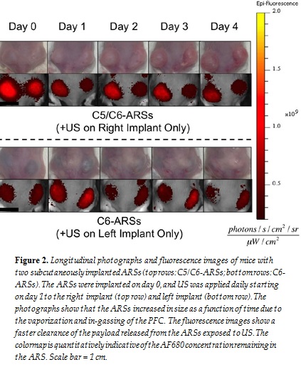 Fig.2 Longitudinal photograghs and fluorescence images