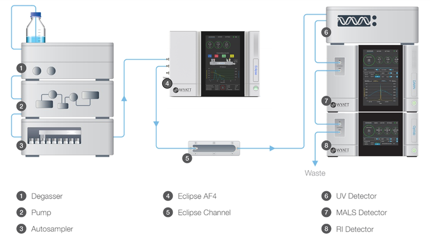 Figure 1. FFF-MALS-DLS