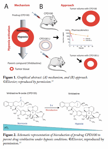 Figure 2. Schematic representation of bioreduction of prodrug CPD100 to parent drug vinblastine under hypoxic conditions. ©Elsevier; reproduced by permission.11