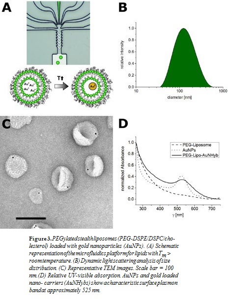 PEGylatedstealthliposomes