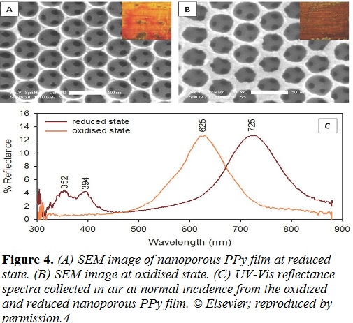 SEM image of nanoporous...