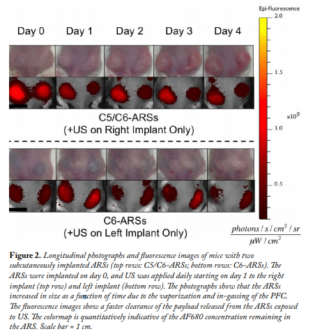 Volume 2 Figure 2 In Vitro