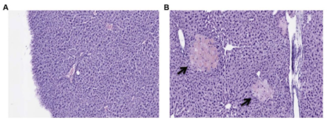 Figure5a